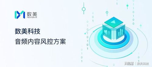 數(shù)美科技解讀 絢爛如煙花，Clubhouse們?nèi)绾尾拍艹掷m(xù)綻放——網(wǎng)絡(luò)與信息安全軟件開(kāi)發(fā)之道